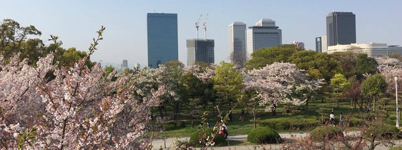 Osaka skyline with cherry blossoms
