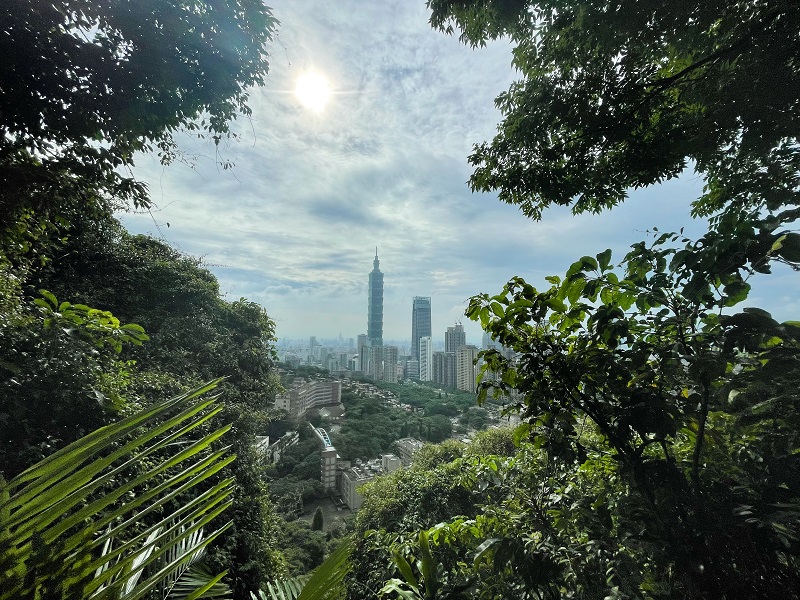 View of the city skyline through a clearing of trees from the top of elephant mountain 