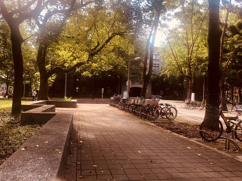 Campus walkway with bike racks