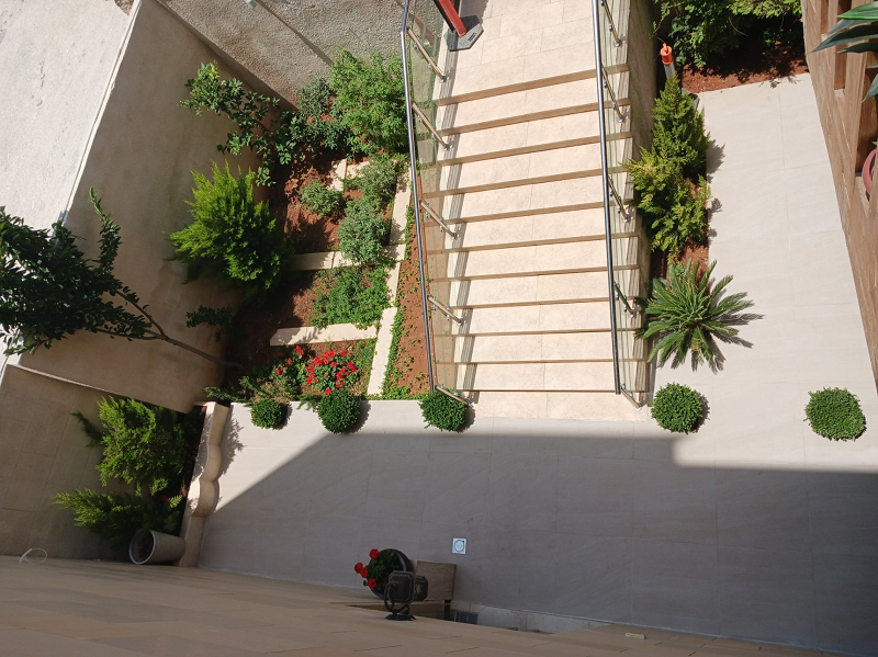 plants outside next to staircase