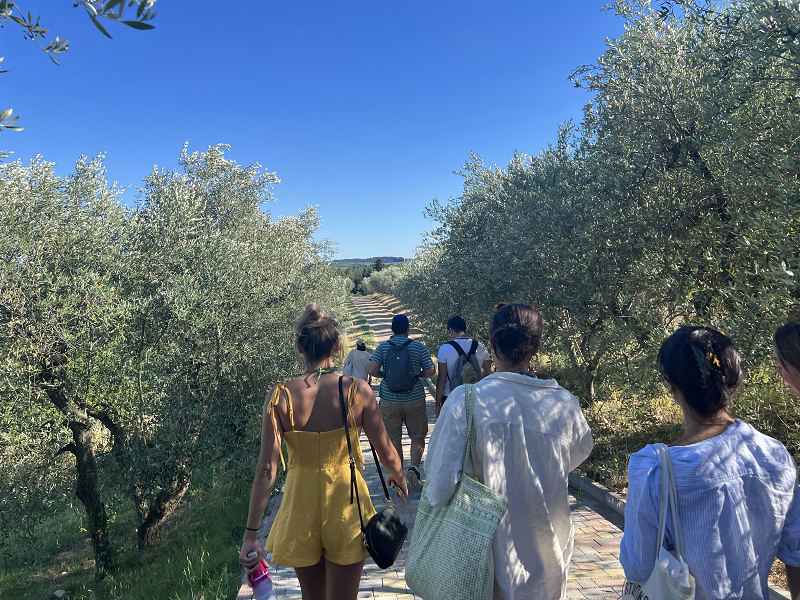 Students walking down path at a vineyard