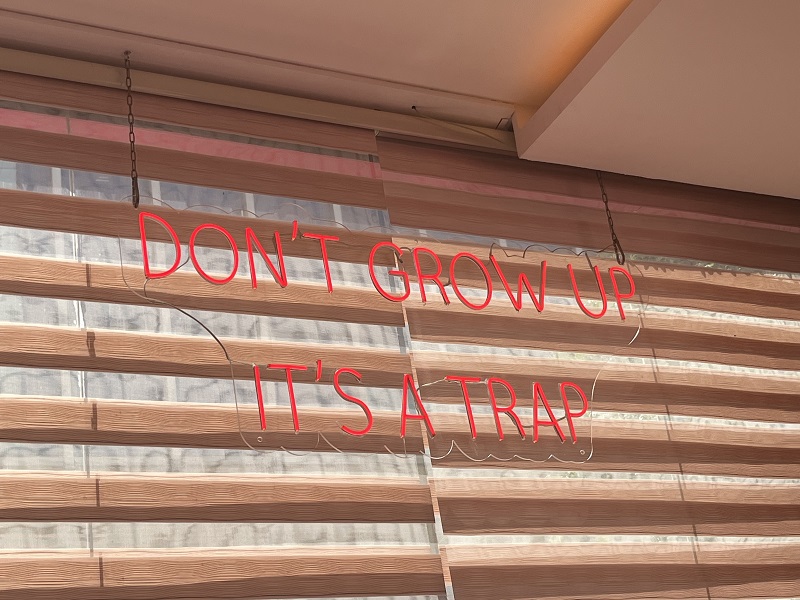 neon sign that says don't grow up, it's a trap