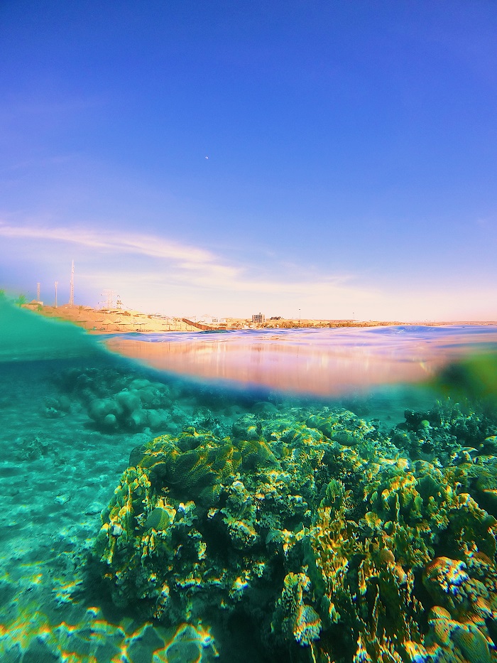 Picture of coral underwater and the sky above 