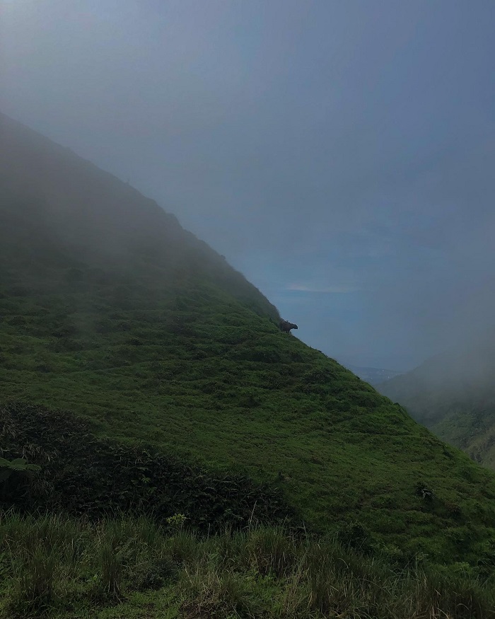 cloudy and misty sky on side of a mountain