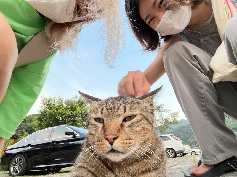 Two friends posing with cat on the street