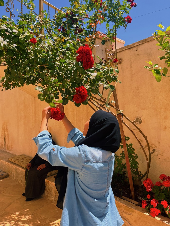 Grace's language partner cutting a rose from above her