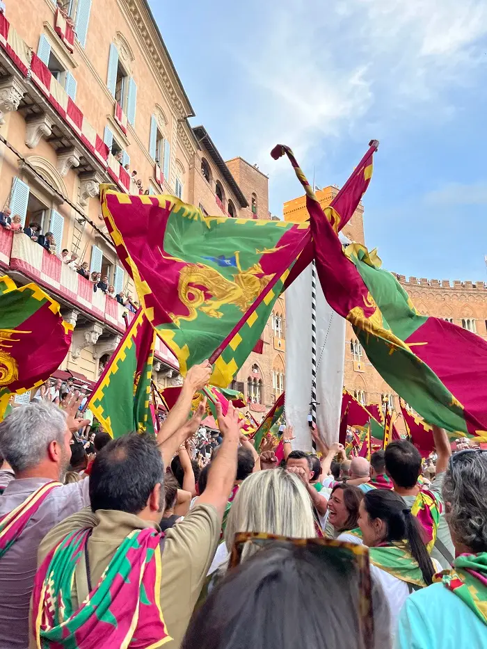 crowd cheering and waving flag 