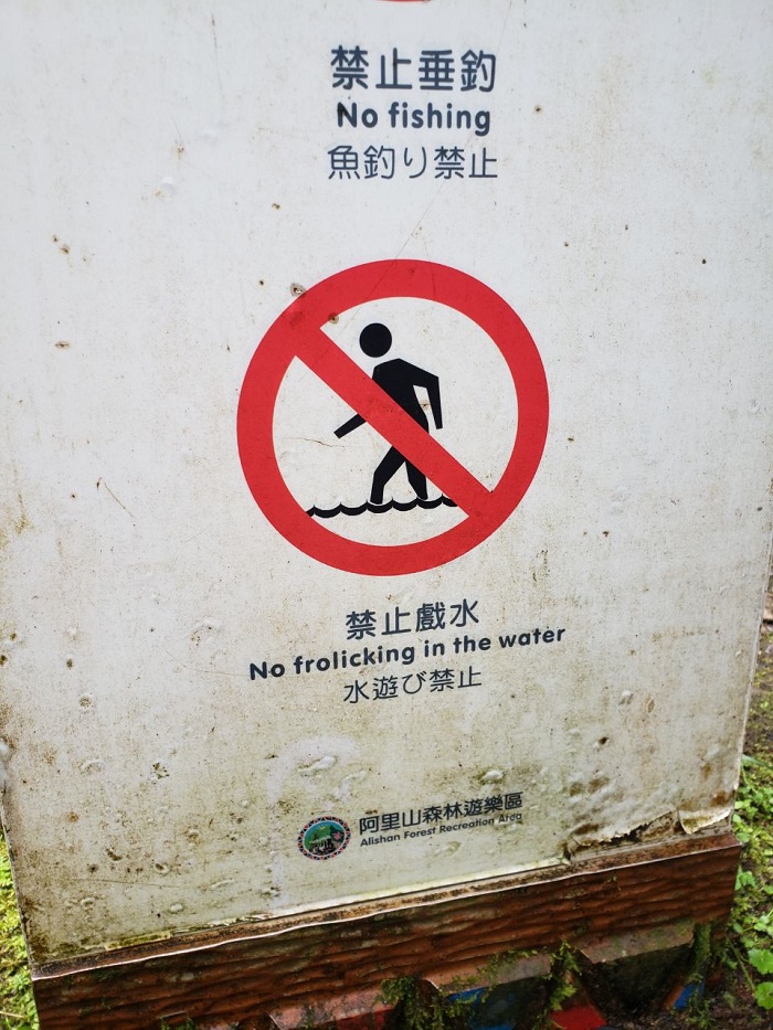 a "no frolicking in the water" sign 