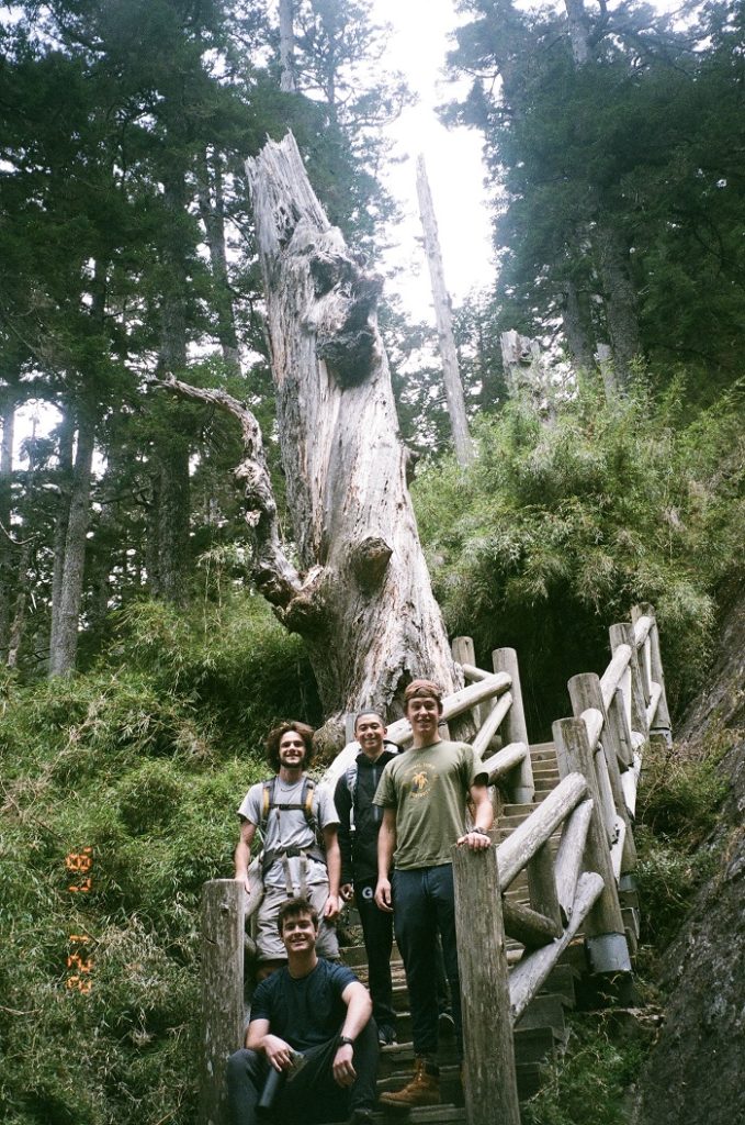 Students posing on a set of stairs in front of a large tree trunk