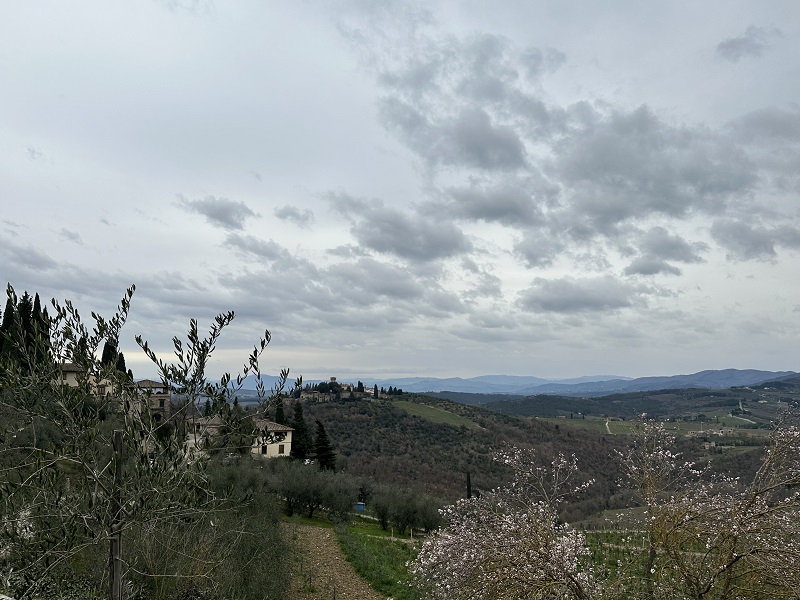 A view of green landscape from the Castello di Verrazzano in Florence