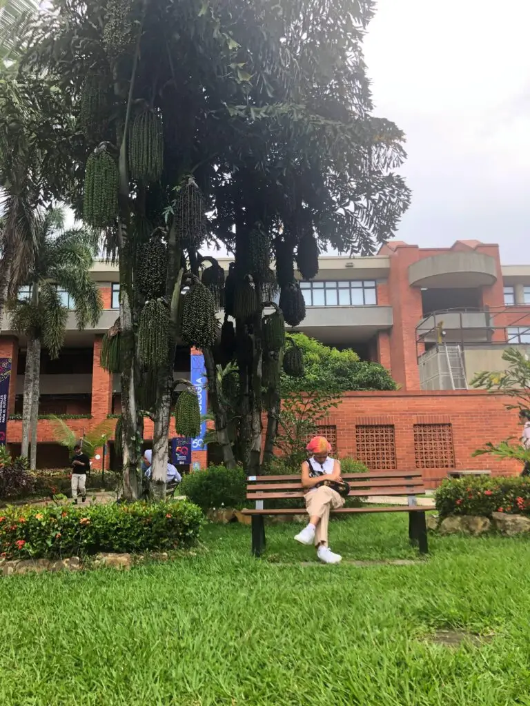 A CET student resting on a bench on Universidad Autónoma de Occidente's campus 