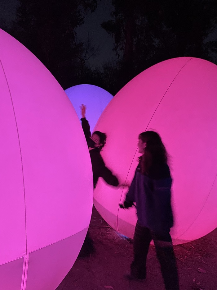 CET students between large illuminated pink and purple balls at the TeamLab Botanical Garden in Osaka.