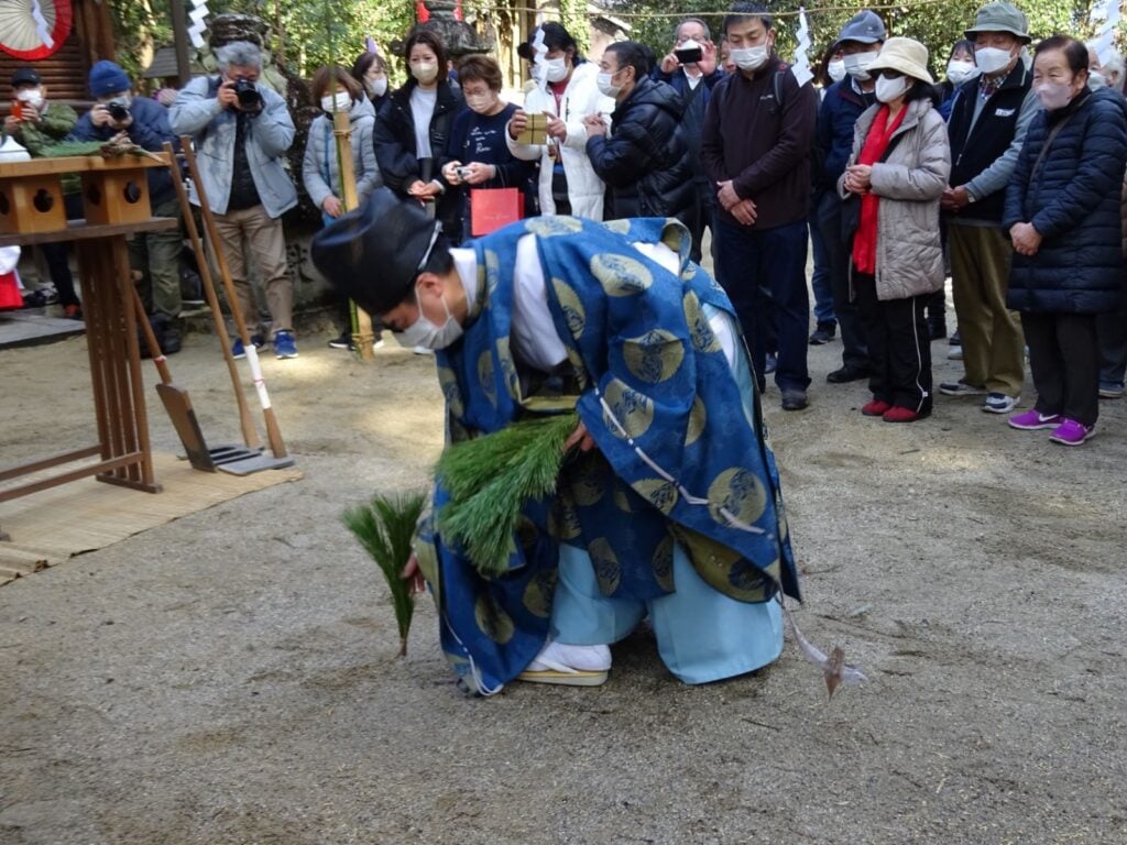 Shinto priest re-enacting rice-planting with fluffy green plants in the center of a crowd of people, some with cameras and phones