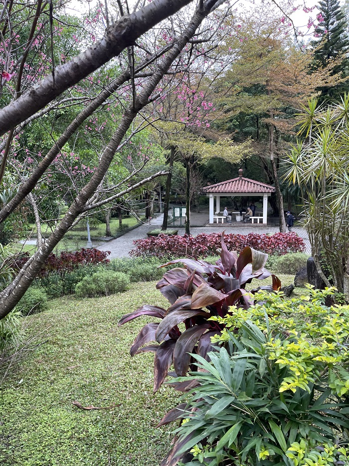 Green and dark purple plants and trees in an outdoor park in Taiwan with people sitting on chairs or walking