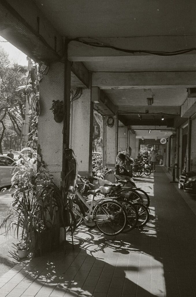 A black and white film photo of plants growing alongside the bikes lined up on the sidewalks