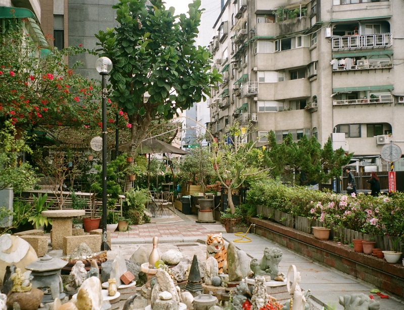 An artist’s backyard, where they had various sculptures of animals and other creations on display outdoors