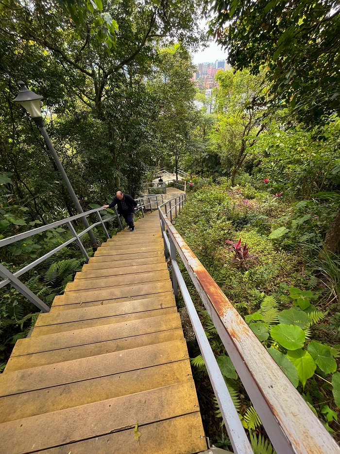 Somebody walking up wooden stairs in Fuhoushan Park in Taiwan