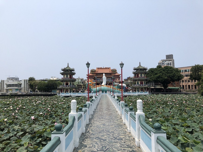 An empty bridge on Lotus Lake with numerous temples surrounding the lake, including the Spring and Autumn Pavilions, and the Dragon and Tiger Pagodas, surrounded by many lotus flowers emerging from the water.