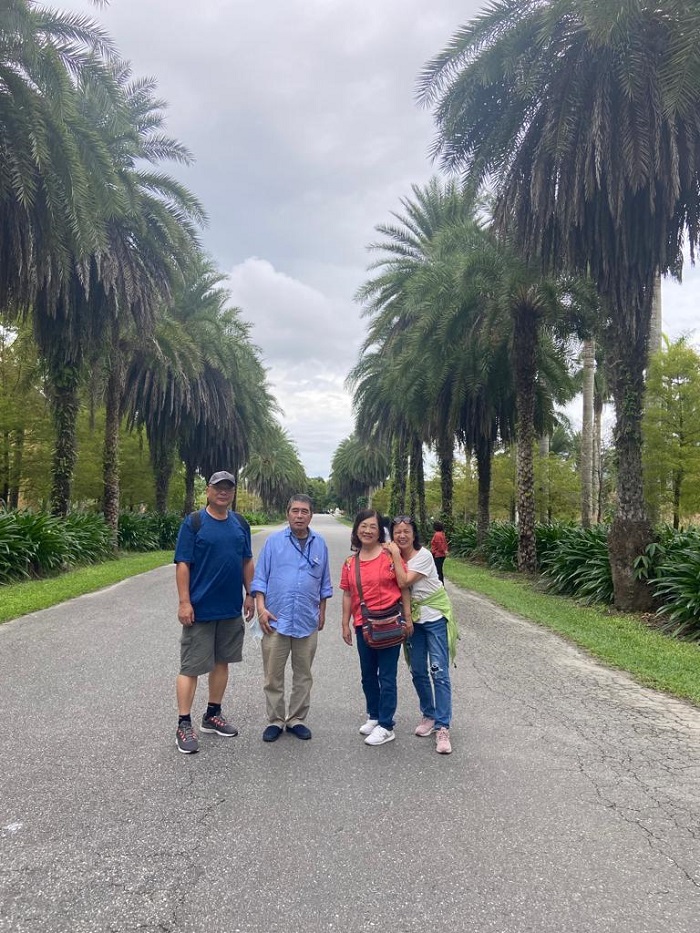 Four people standing in the middle of a paved road with large trees on both sides