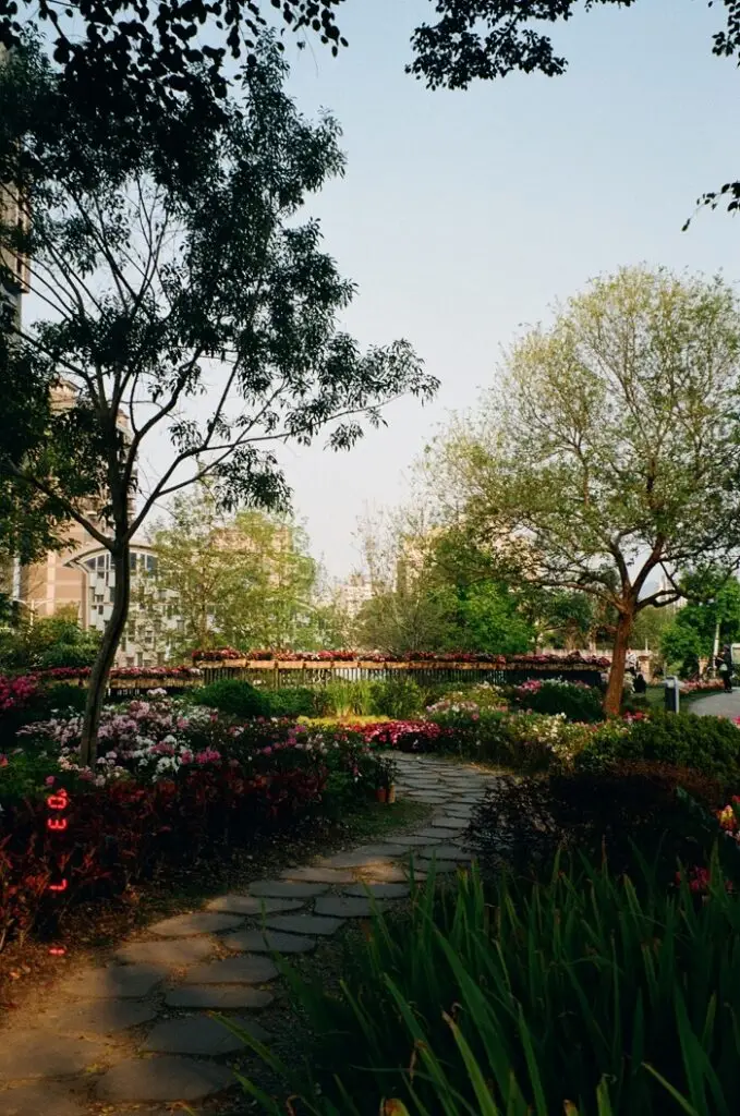 A Path leading to a small pond in Da’an Forest Park in Taiwan