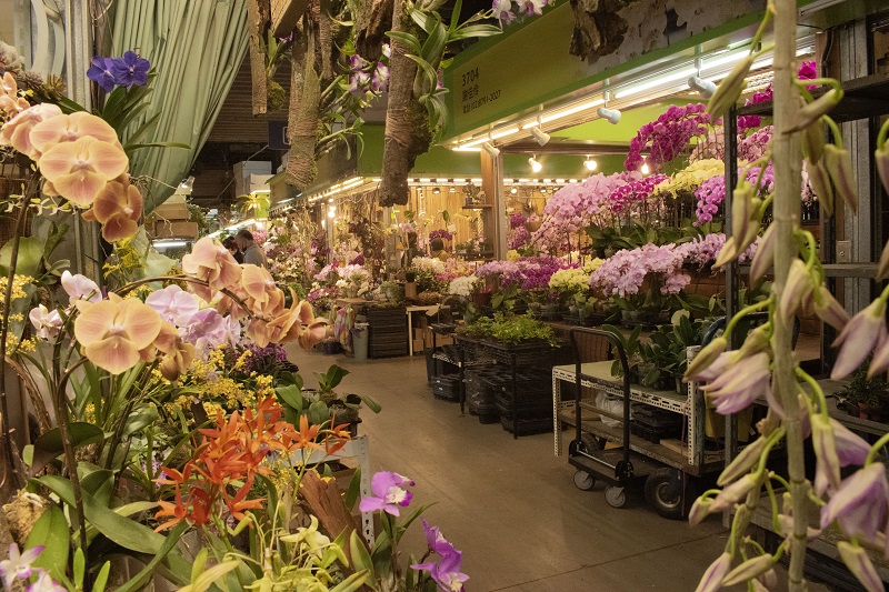 Indoor Taipei Flower Market with flowers displayed on carts and in stalls