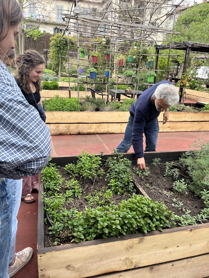 A male owner showing two students his small outdoor garden with many herbs and greens