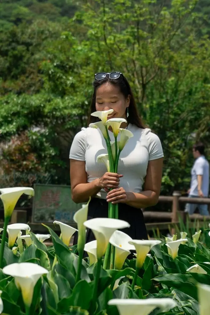 A CET Taiwan student smiling while smelling Calla Lily flowers in Yangmingshan, a Taiwanese National Park