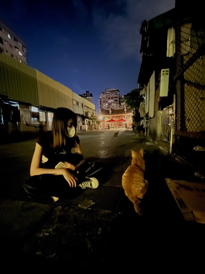 A local Taiwan roommate sitting on the street with a cat by a nearby Temple in Taiwan