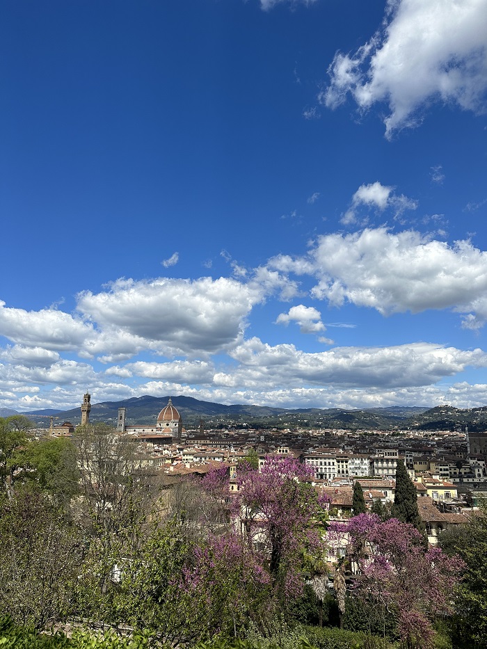 View of the city of Florence and trees from the Bardini Gardens on a partly cloudy day
