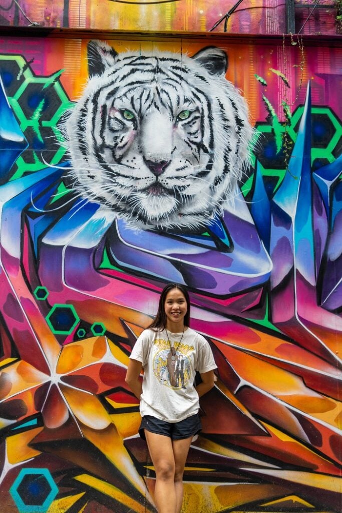 A CET Taiwan student smiling in front of a art mural with a large white tiger in Ximending 