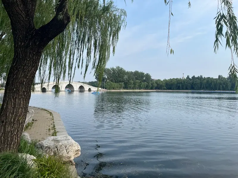 A bridge, walkway, and many trees in Yùyuāntán Park in Beijing, China