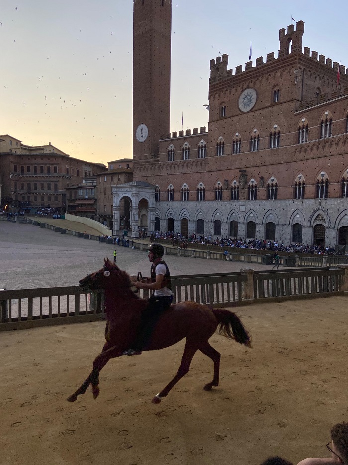 A bareback horserider and a ride horse going by in Piazza del Campo