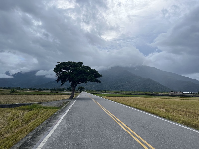 A tree, mountains afar covered partly by clouds, and Paradise Road near Yushan National Park 