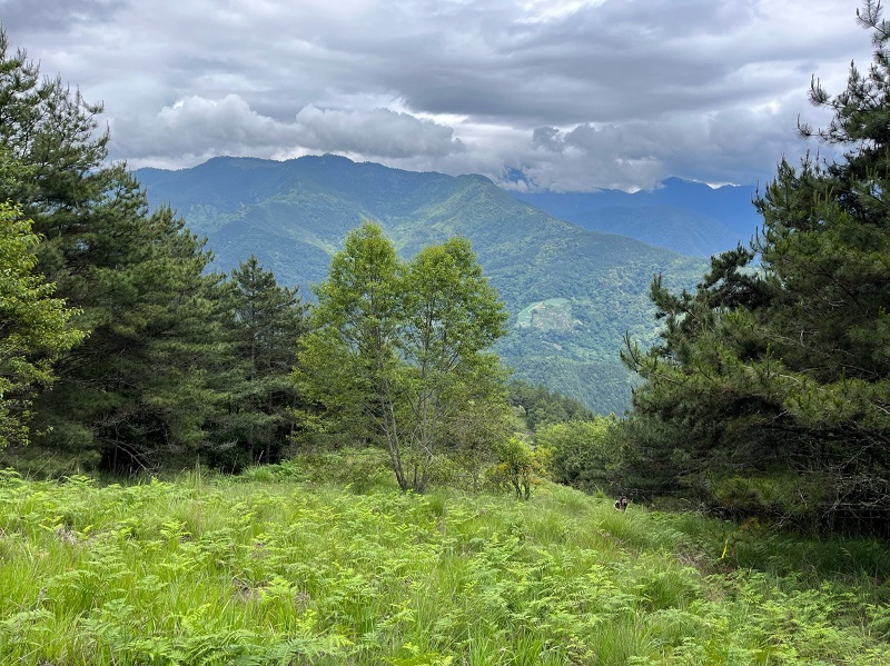 Landscape view of mountains, trees, and clouds of Shei-Pa National Park in Taiwan