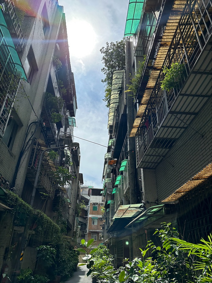 Street scene of neighborhood buildings and a lush green landscape in Taiwan