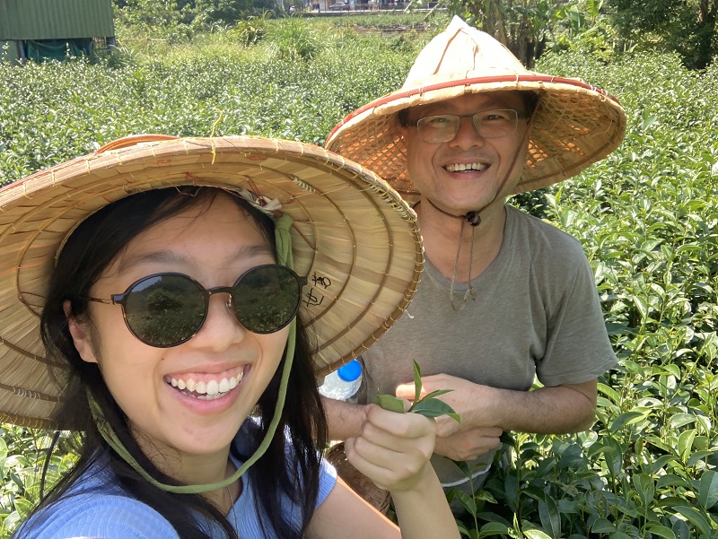 A CET Taiwan student and a co-worker from her internship wearing straw hats and picking tea for a team bonding activity 