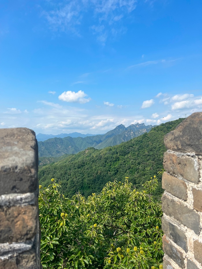 Green mountains and yellow tops of the trees beside a stone outpost at the Great Wall