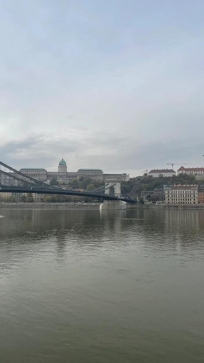 A part of the Széchenyi Lánchíd Bridge on a cloudy day
