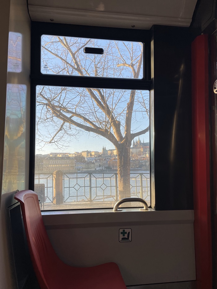 Views of a river and a tree from inside the tram in Prague, Czech Republic