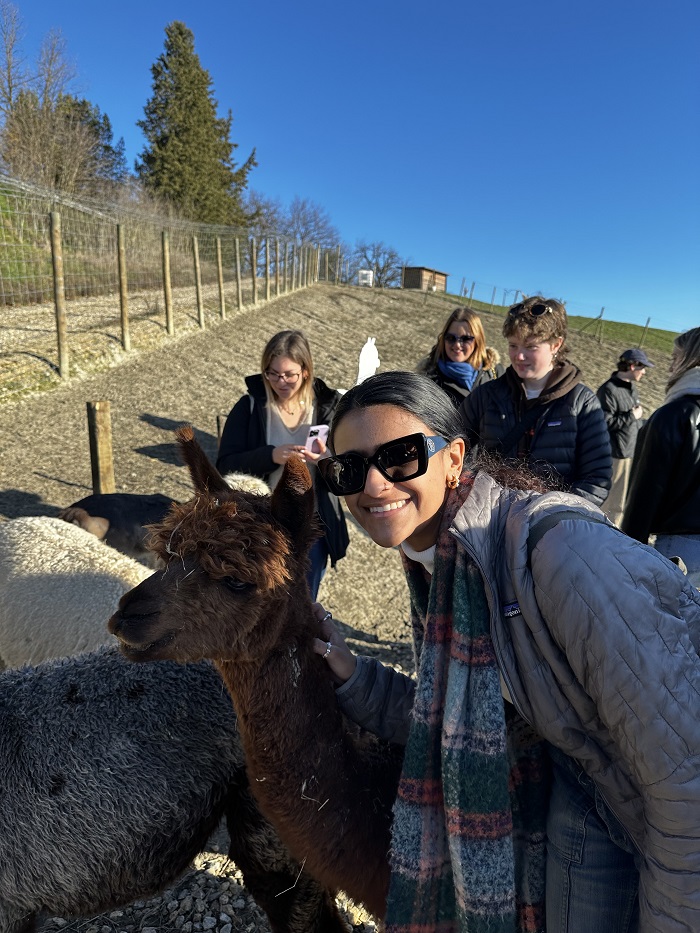 A CET Siena posing with an alpaca at 
a farm outside surrounded by other people