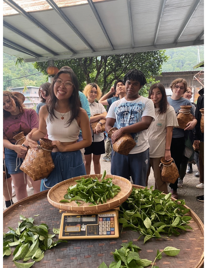 CET Taiwan students smiling and standing around a scale weighting tea leaves in Taiwan