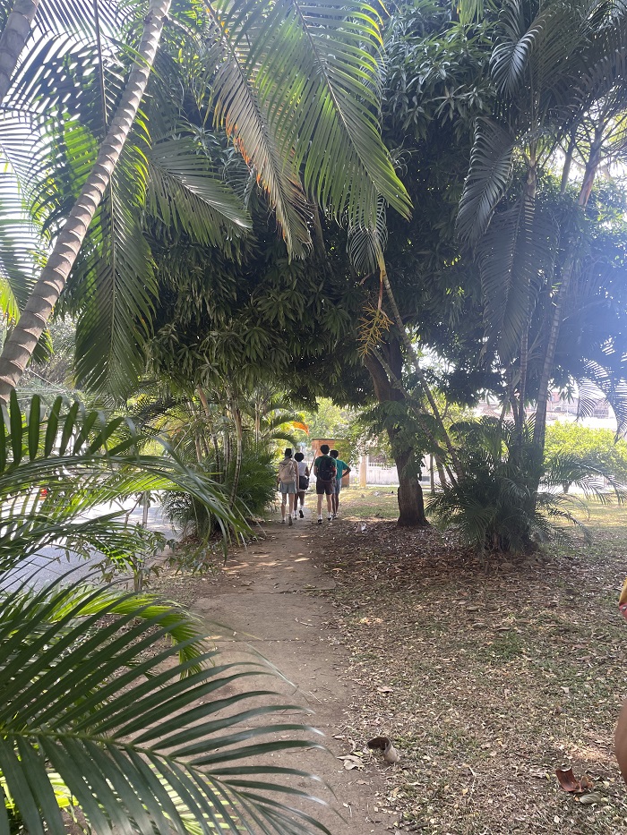 CET Colombia students standing on a pathway with large green branches from trees hanging low in Cali, Colombia
