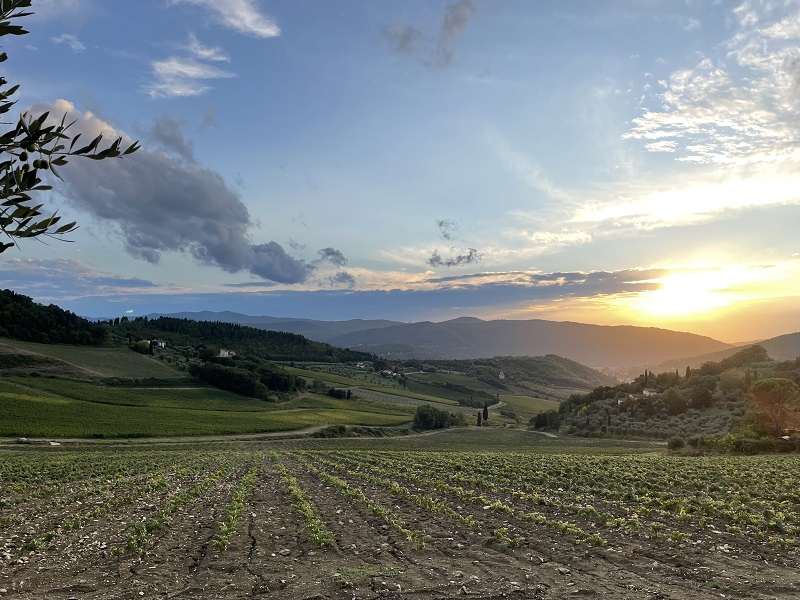 A view of many green hills during sun set in Italy