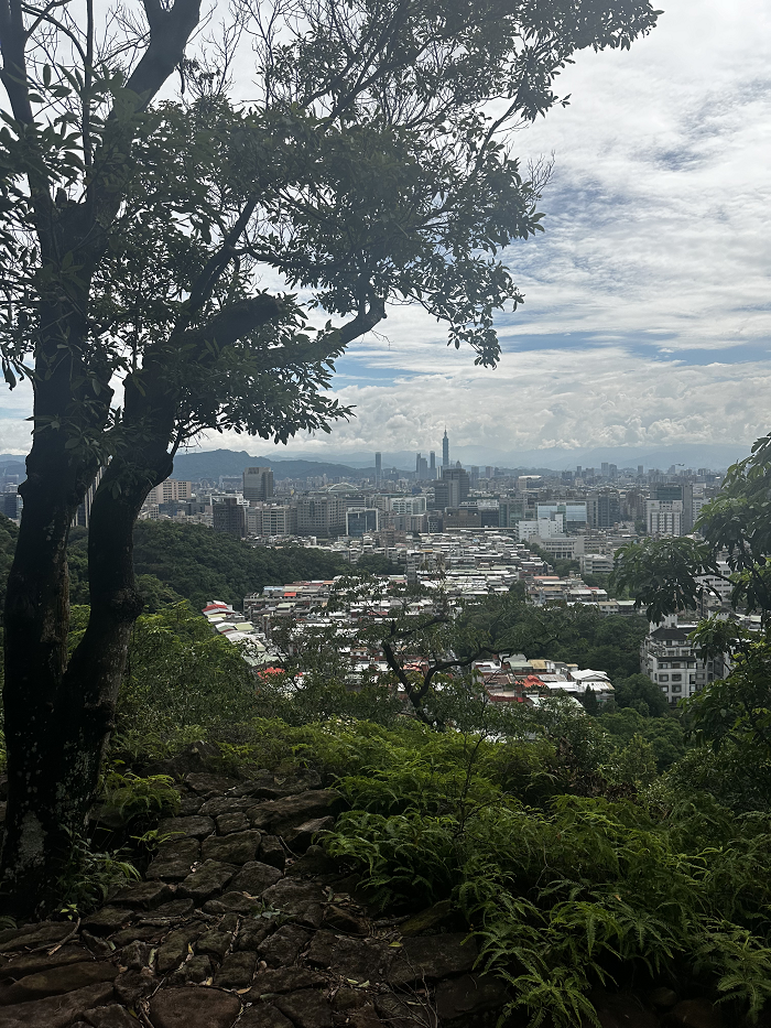 View of Taipei city from Jinmian Shan Trail on a partly cloudy day framed by bushes and trees