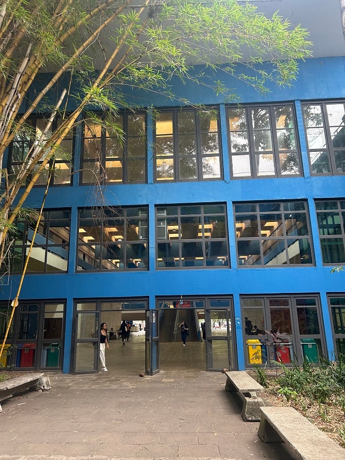 The external entrance to the geography building with big windows and lots of plants at Universidade de São Paulo