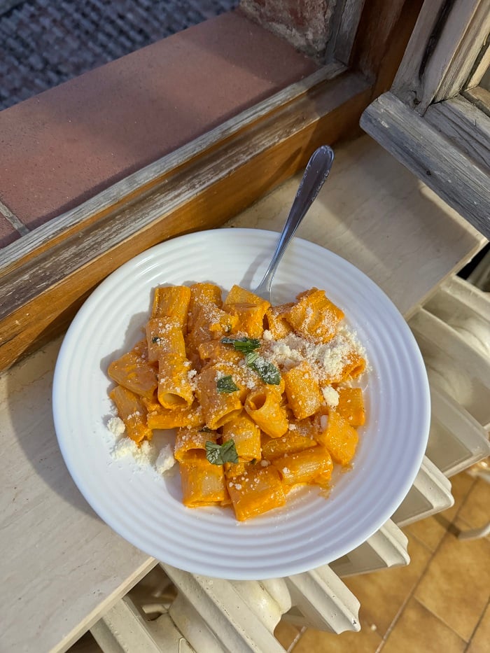 A plate of vodka pasta 