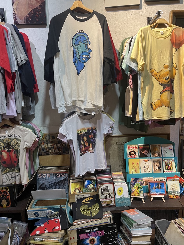  Some eccentric items sold at a thrift store including t-shirts, DVDs, books, cards, and more