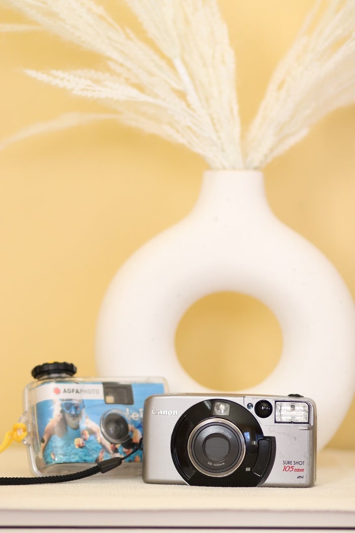 Two film cameras set up by a home decor item