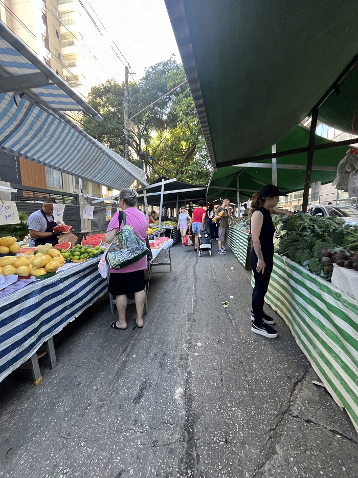 People looking at stalls within a outdoor local market in Brazil