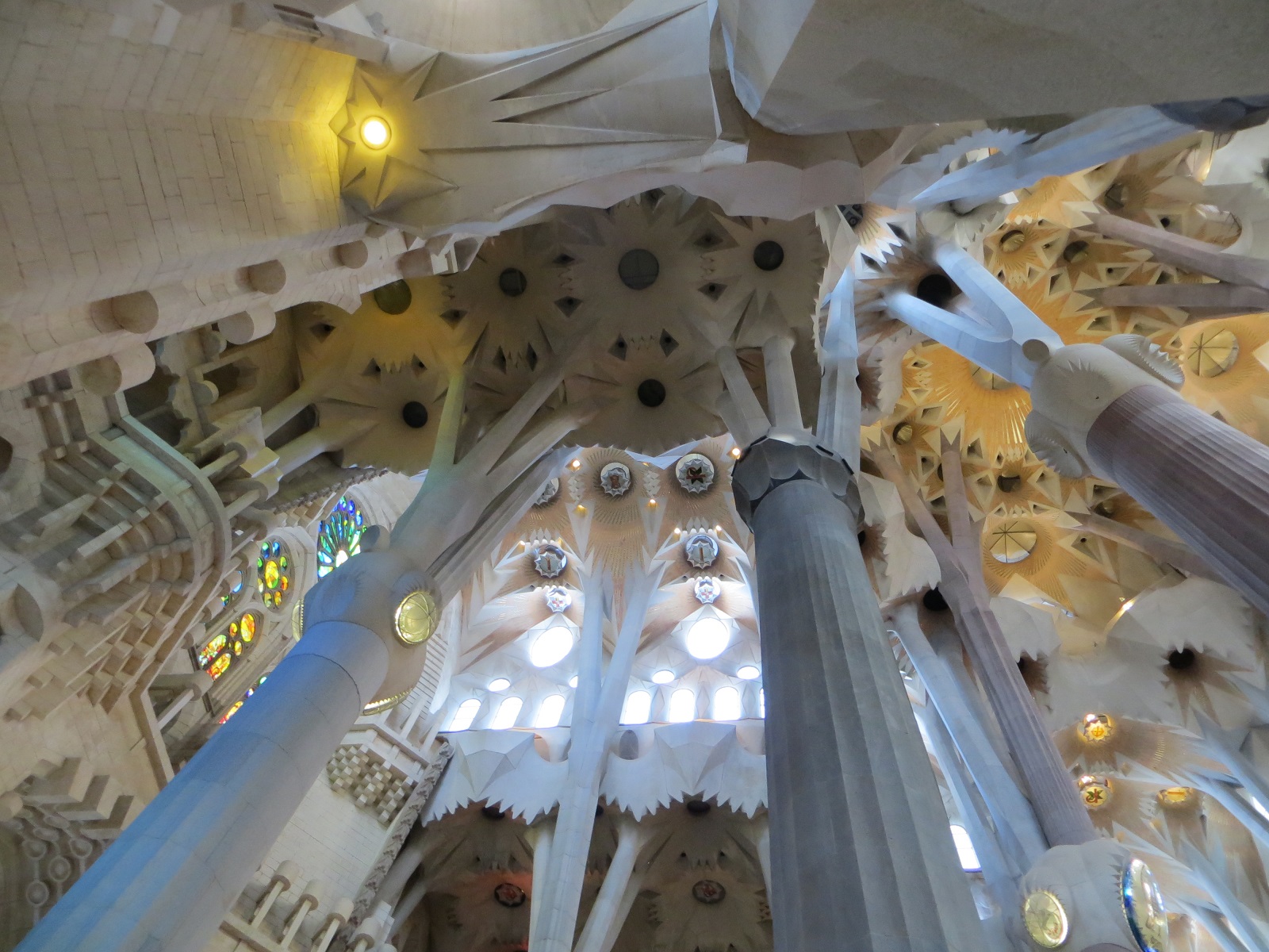 The inside ceiling and walls of the La Sagrada Familia church